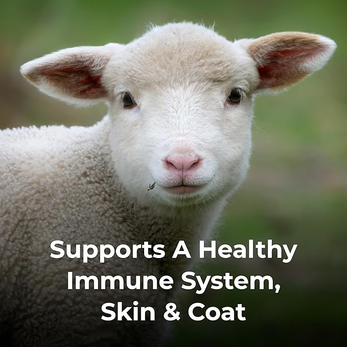 PetAg Dyne High Calorie Liquid Nutritional Supplement for Livestock