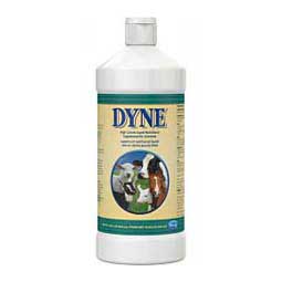 PetAg Dyne High Calorie Liquid Nutritional Supplement for Livestock