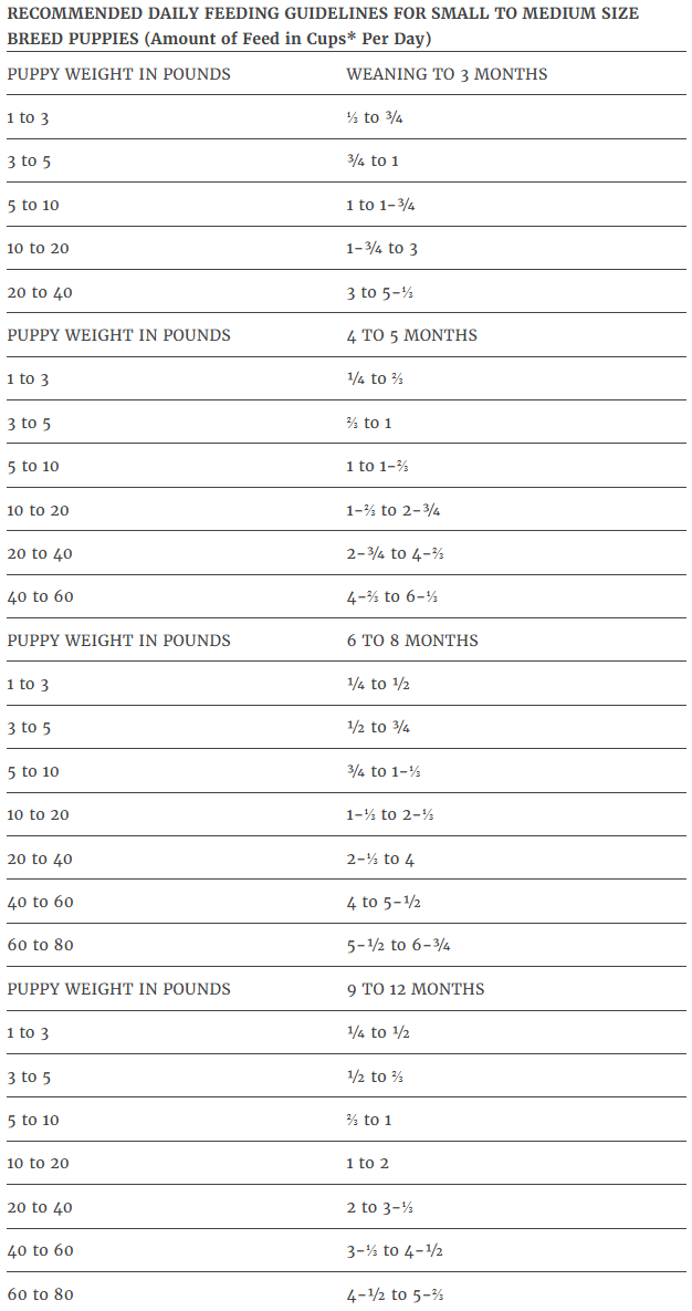 Exclusive Signature Puppy Chicken & Brown Rice Dog Food, 30 lb. Bag