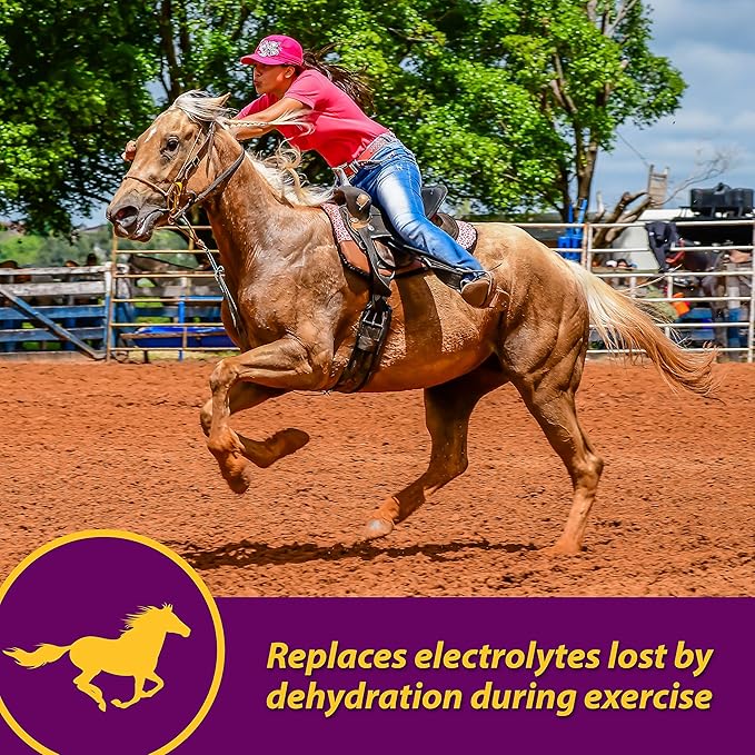 Horse Health Apple-Dex Apple Flavored Electrolytes