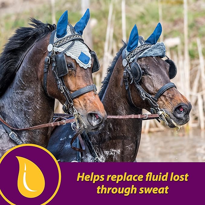 Horse Health Apple-Dex Apple Flavored Electrolytes