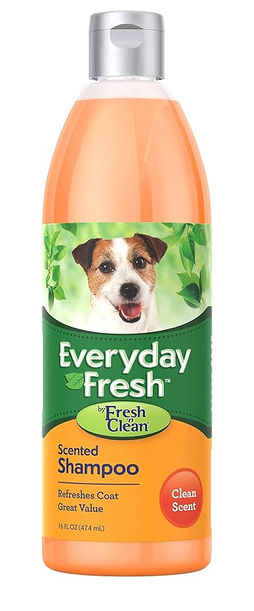 Fresh 'n Clean Everyday Fresh Scented Shampoo, 16 oz
