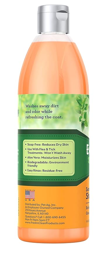 Fresh 'n Clean Everyday Fresh Scented Shampoo, 16 oz