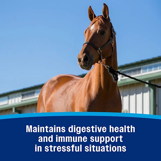 Farnam Probiotic Paste 30cc