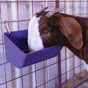 Weaver Livestock Animal Feeder, 3 qt.