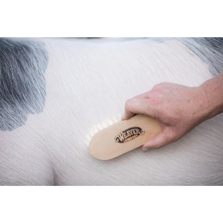 Weaver Livestock Goat Hair Brush