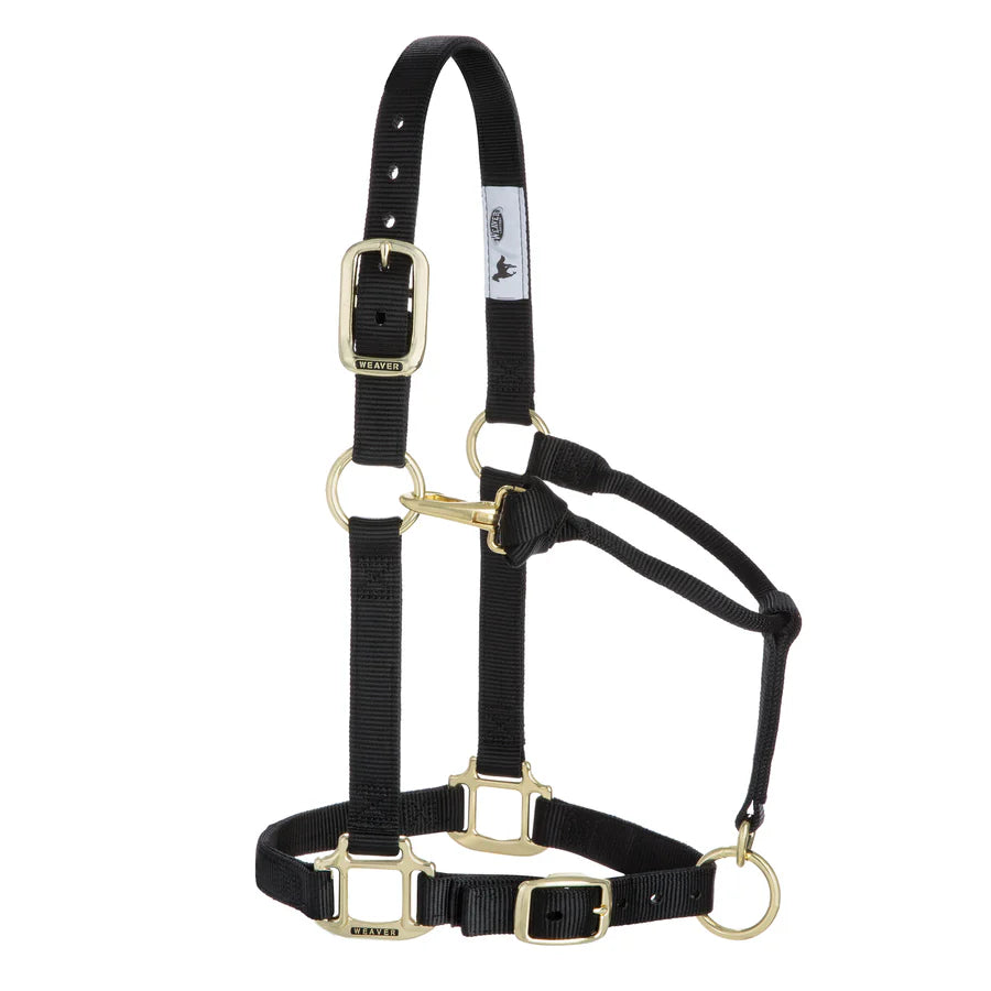 Weaver Equine Horse Halter