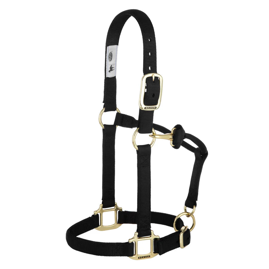 Weaver Equine Horse Halter