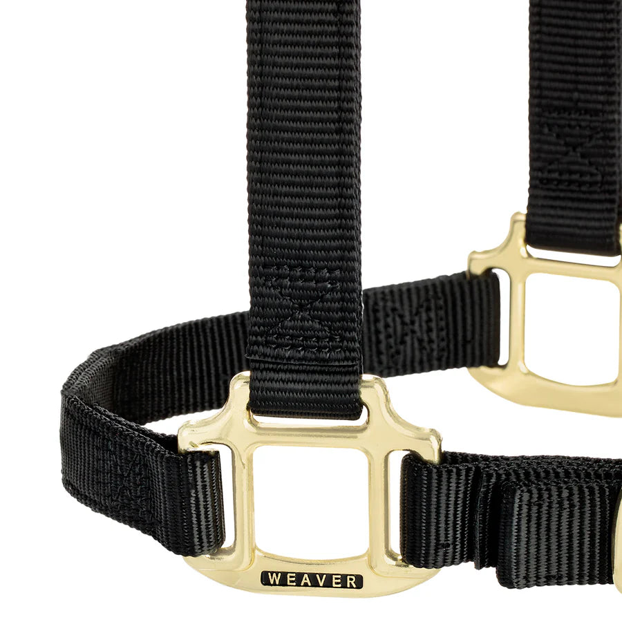 Weaver Equine Horse Halter