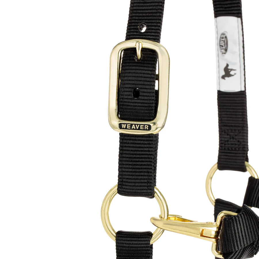 Weaver Equine Horse Halter