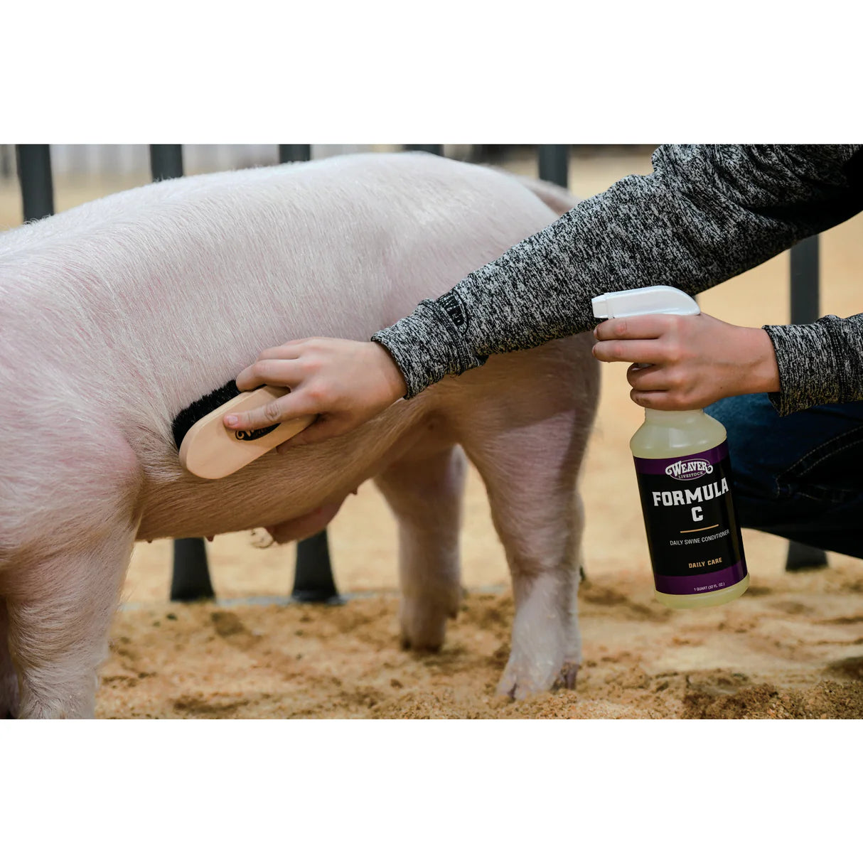 Weaver Livestock Horse Hair Brush