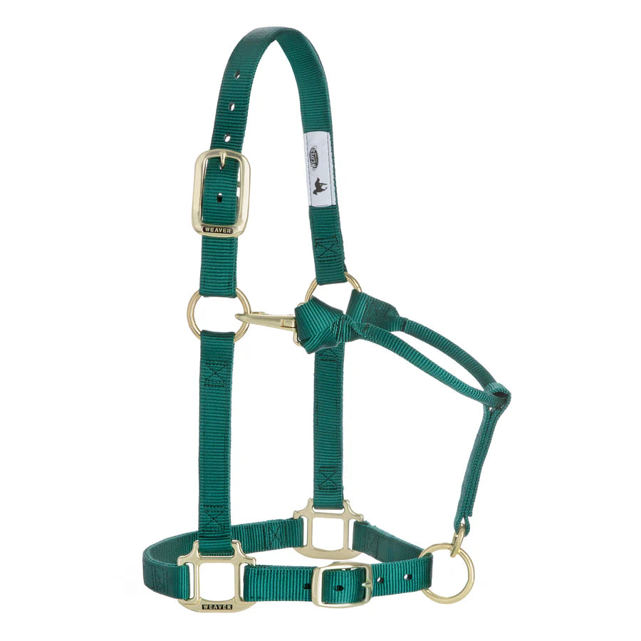 Weaver Equine Horse Halter