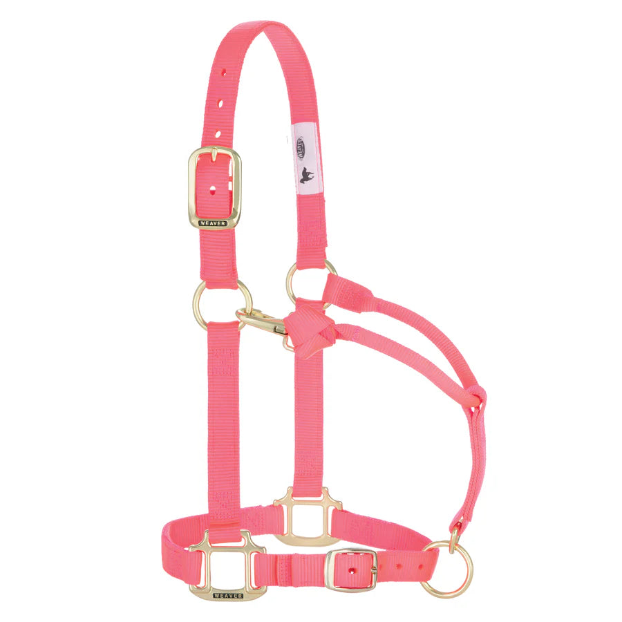 Weaver Equine Horse Halter