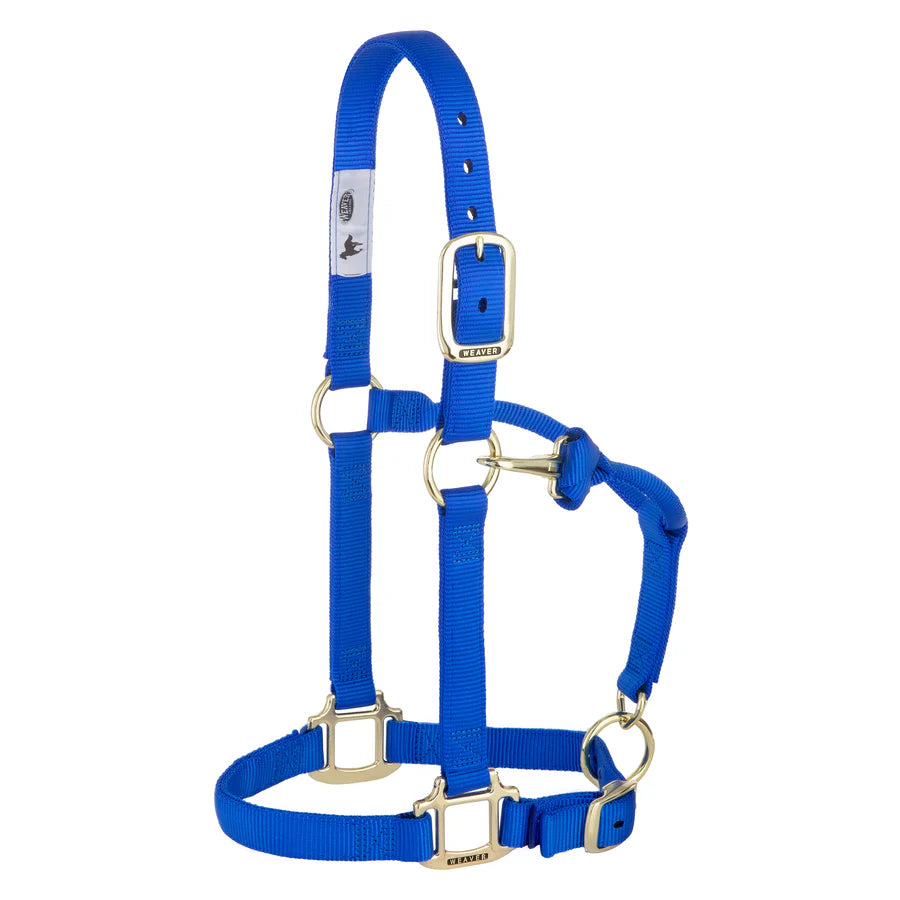Weaver Equine Horse Halter