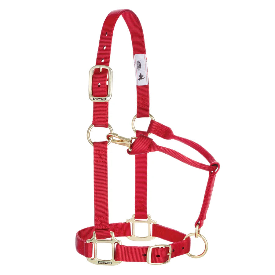 Weaver Equine Horse Halter