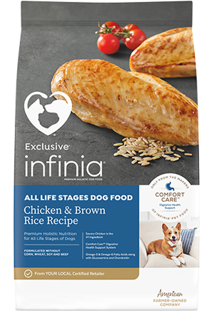 Infinia Chicken & Brown Rice Recipe Dog Food