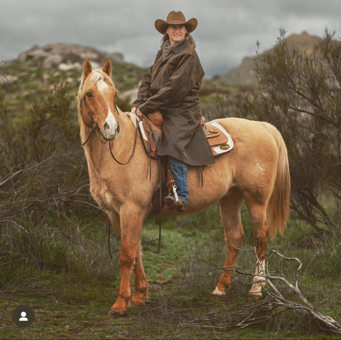 Integrity Horse L.S. Senior (No Mol.), 50 lb. Bag