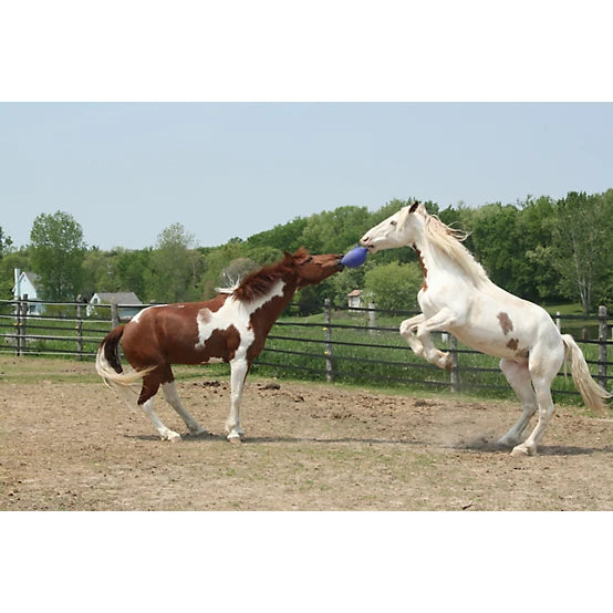 Horsemen's Pride Jolly Ball Horse Toy, 10 in