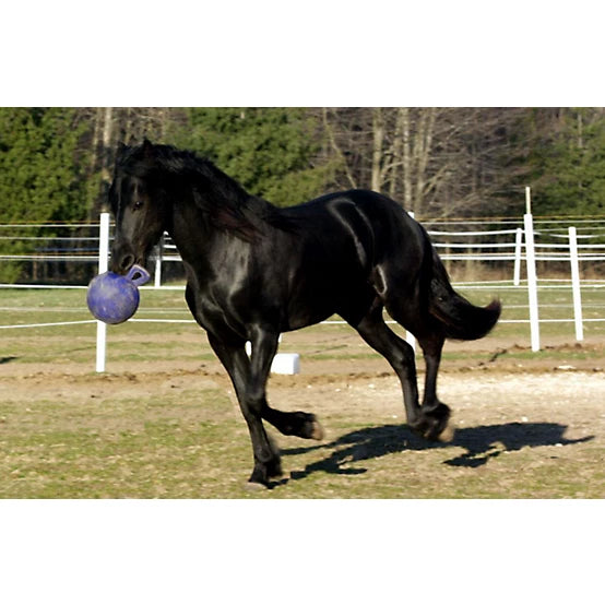 Horsemen's Pride Jolly Ball Horse Toy, 10 in