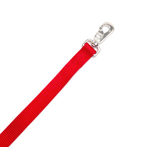 Valhoma Single Layer Nylon Leash, 1" Width