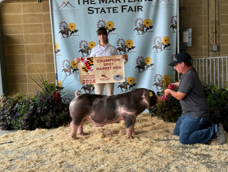 Lindner 685 16% Show Pig, 50 lb. Bag