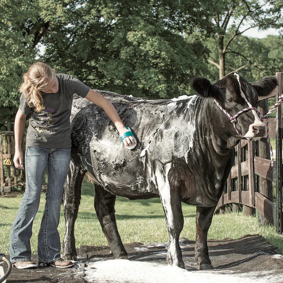 Weaver Livestock Massage Brush