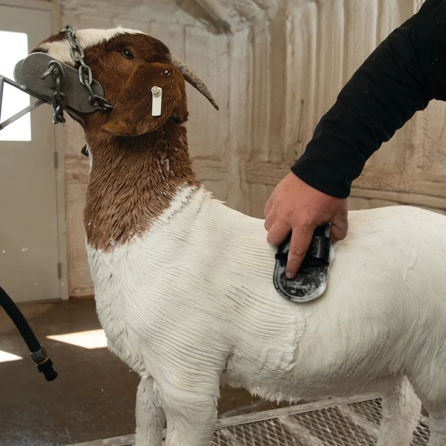 Weaver Livestock Massage Brush
