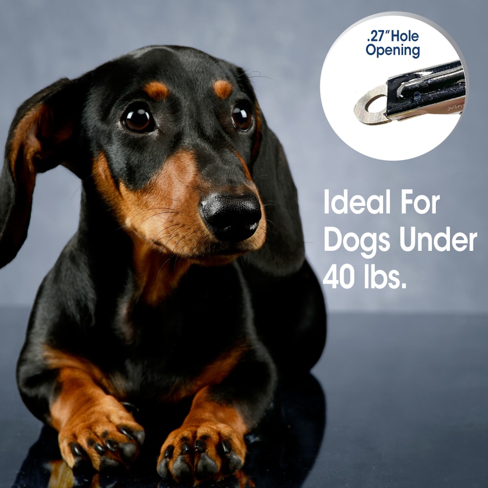 Magic Coat Professional Series Nail Trimmer for Dogs