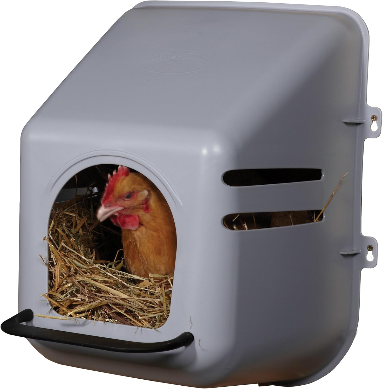 Little Giant Single Plastic Nesting Box Chicken Nest Box with Perch