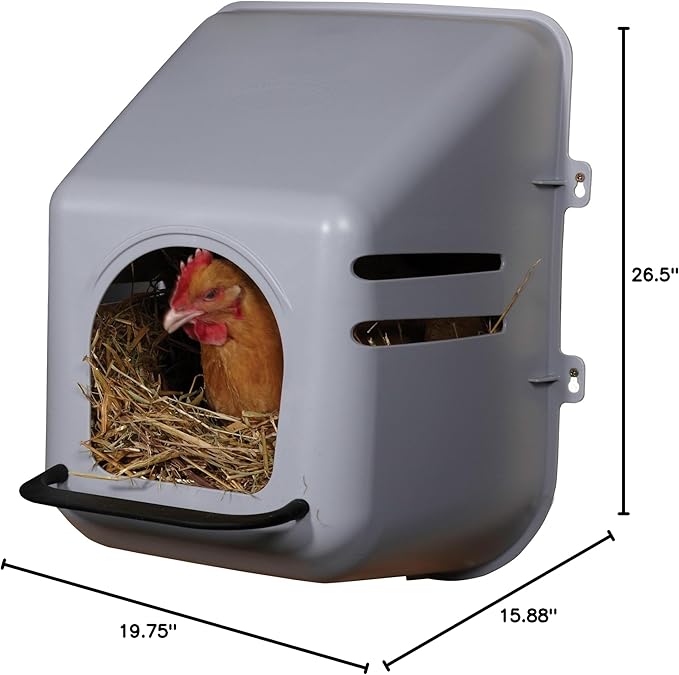 Little Giant Single Plastic Nesting Box Chicken Nest Box with Perch