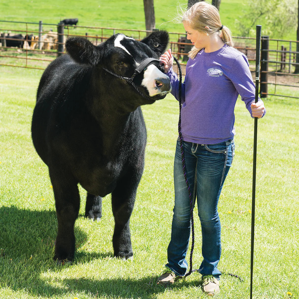 Weaver Livestock Noseband Covers