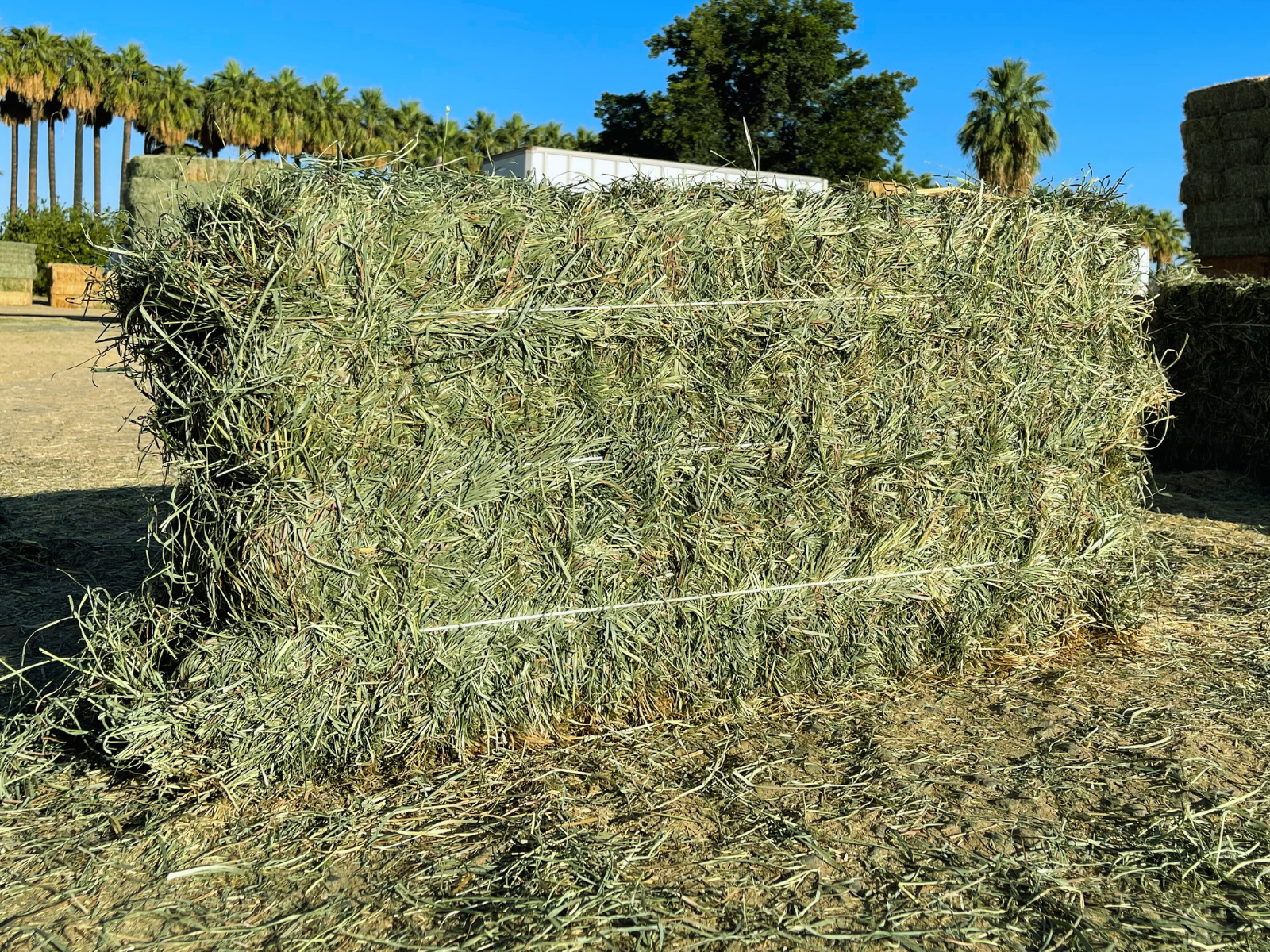 Orchard Hay
