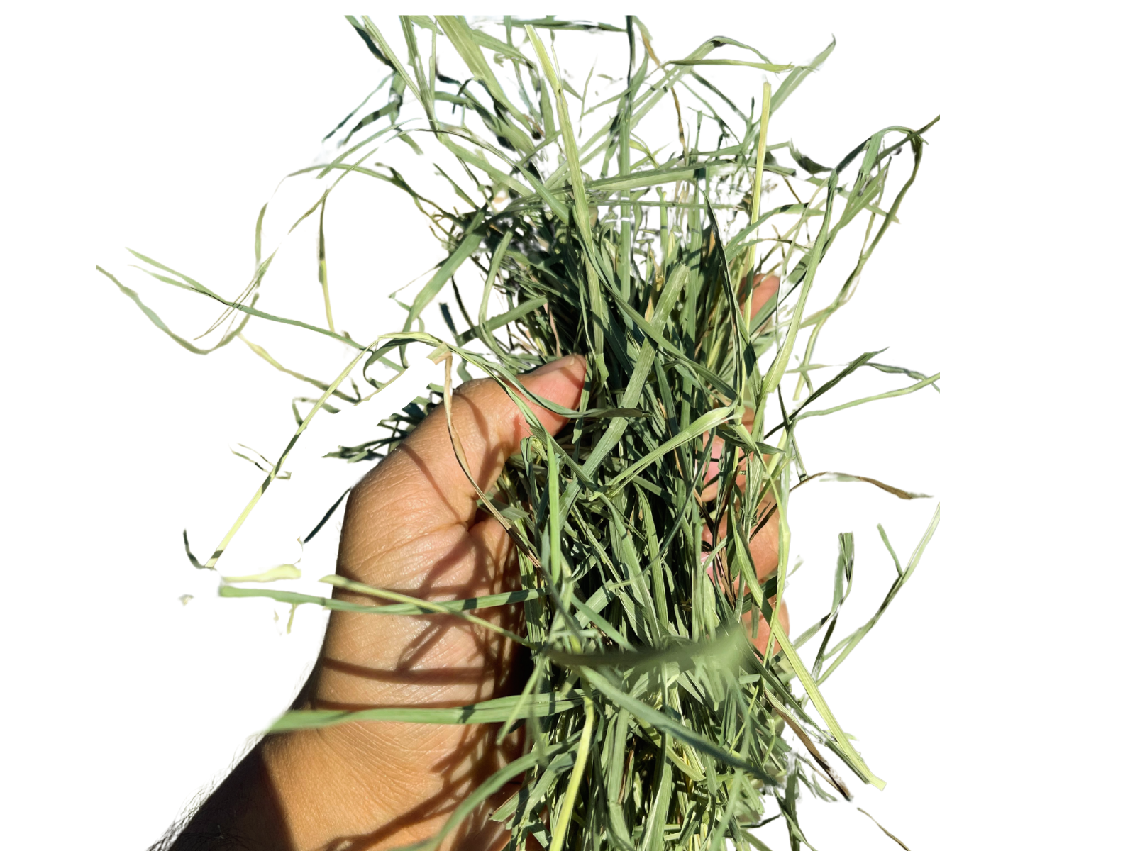Orchard Hay