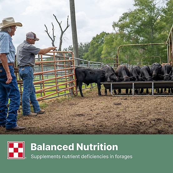 Purina Cattle Grower/Finisher 12, 50 lb