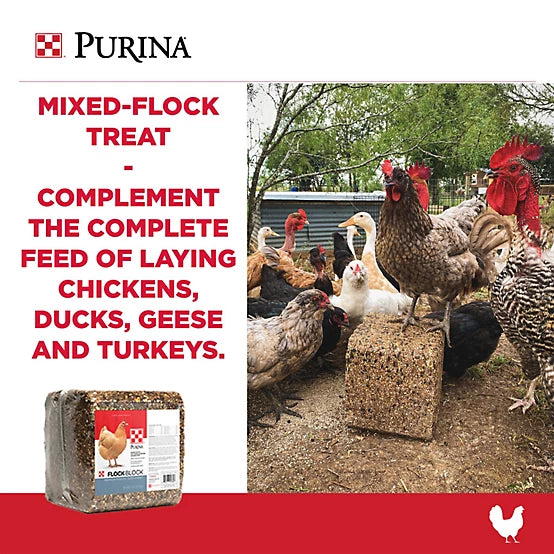 Purina Flock Block Poultry Supplement, 25 lb. Block