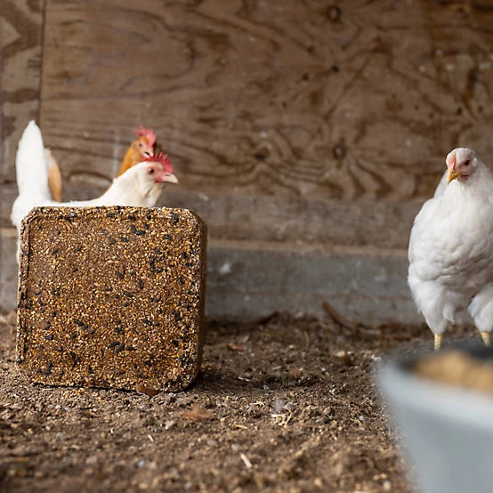 Purina Flock Block Poultry Supplement, 25 lb. Block