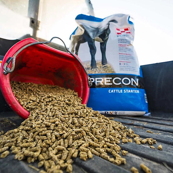 Purina Precon Complete with RX3 Cattle Feed, 50 lb. Bag