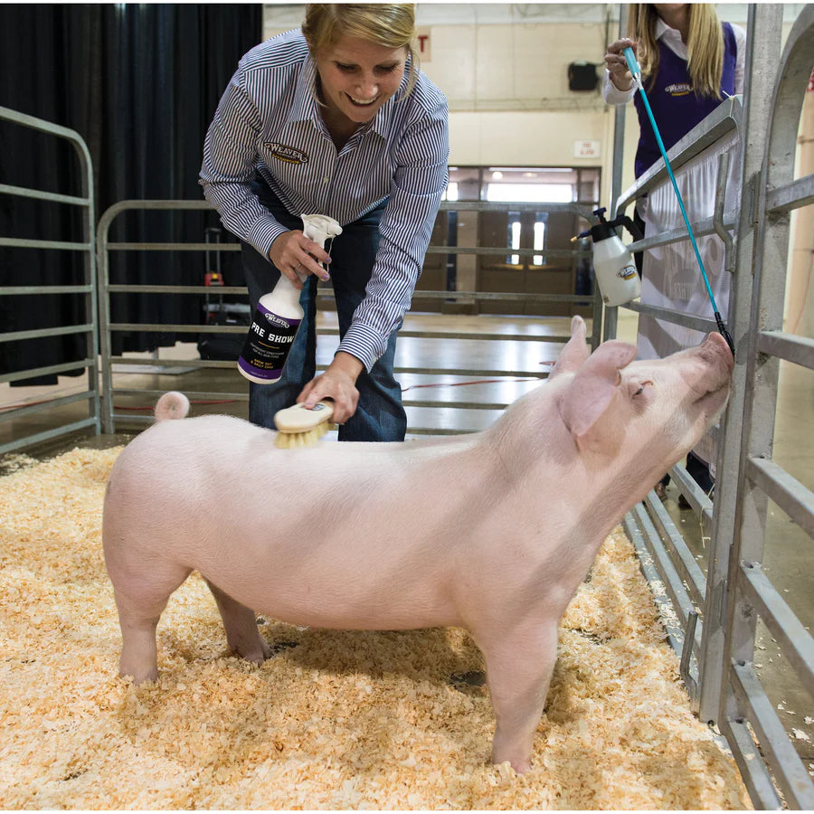 Weaver Livestock Pre Show, 1 Quart