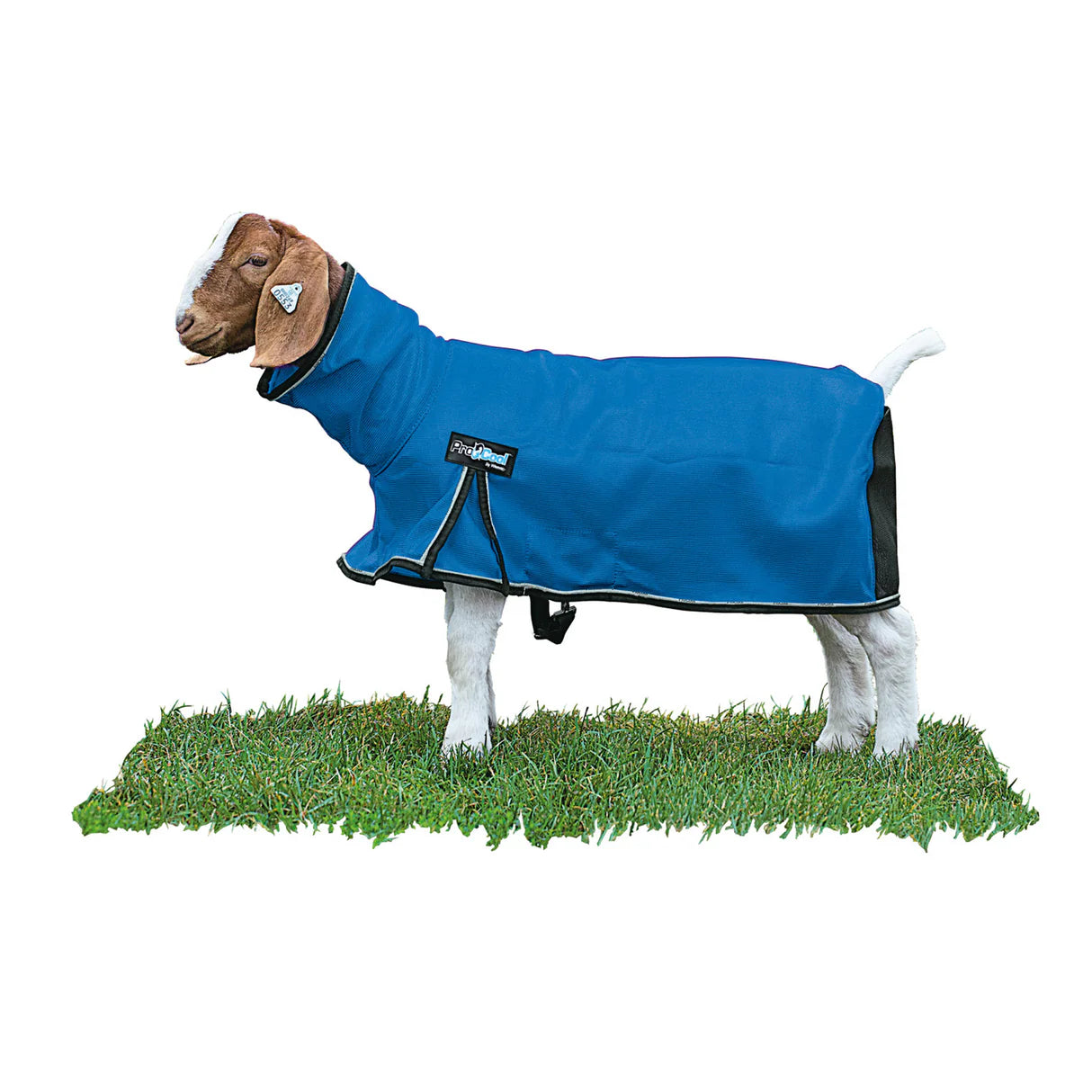 Weaver Livestock ProCool Goat Blanket with Reflective Piping, Mesh Butt