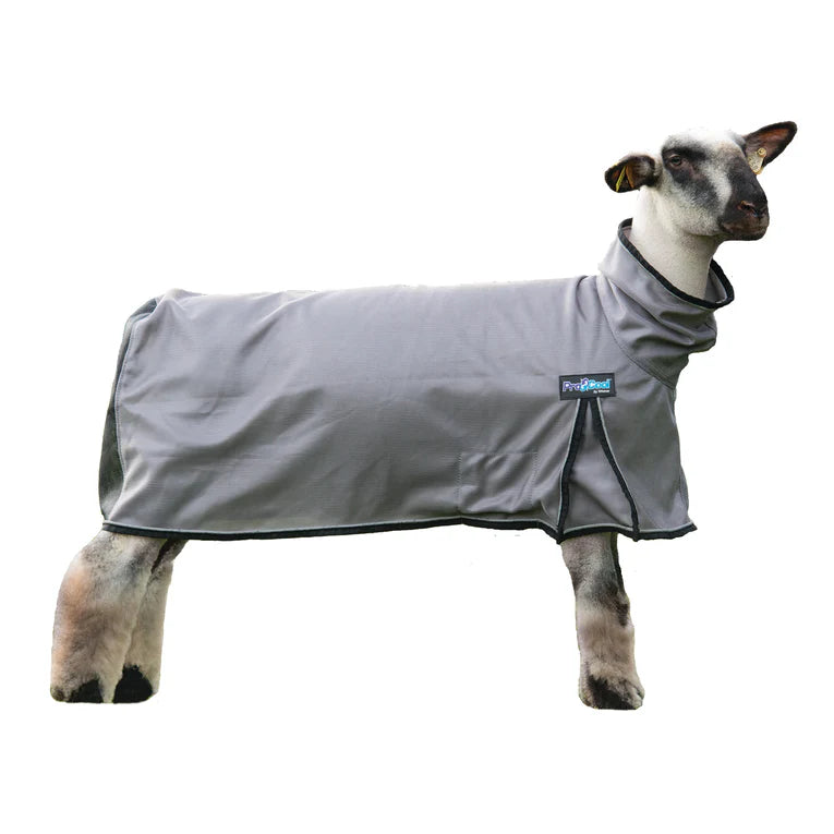 Weaver Livestock ProCool Goat Blanket with Reflective Piping, Mesh Butt