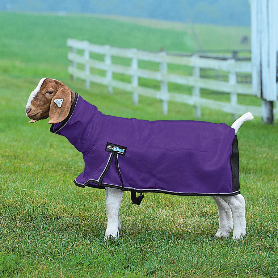 Weaver Livestock ProCool Goat Blanket with Reflective Piping, Mesh Butt