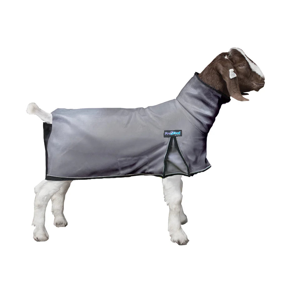 Weaver Livestock ProCool Goat Blanket with Reflective Piping, Mesh Butt