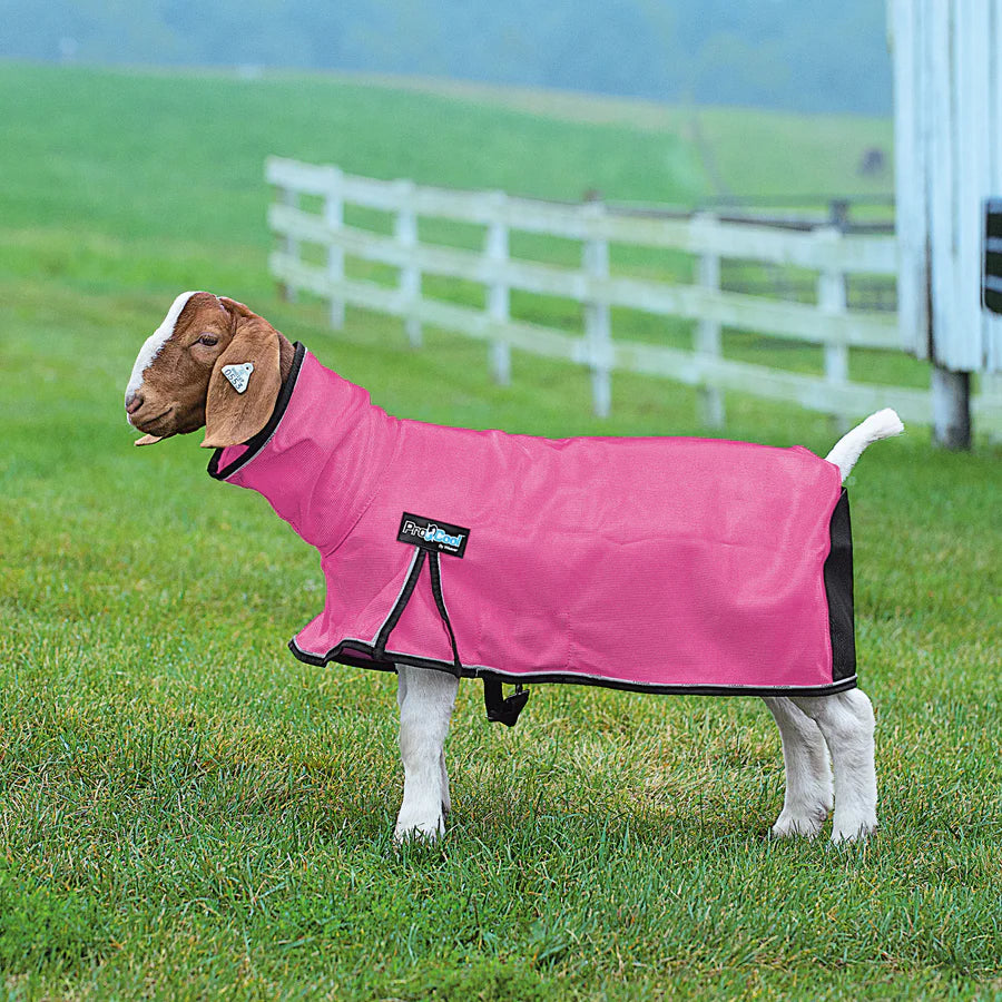Weaver Livestock ProCool Goat Blanket with Reflective Piping, Mesh Butt