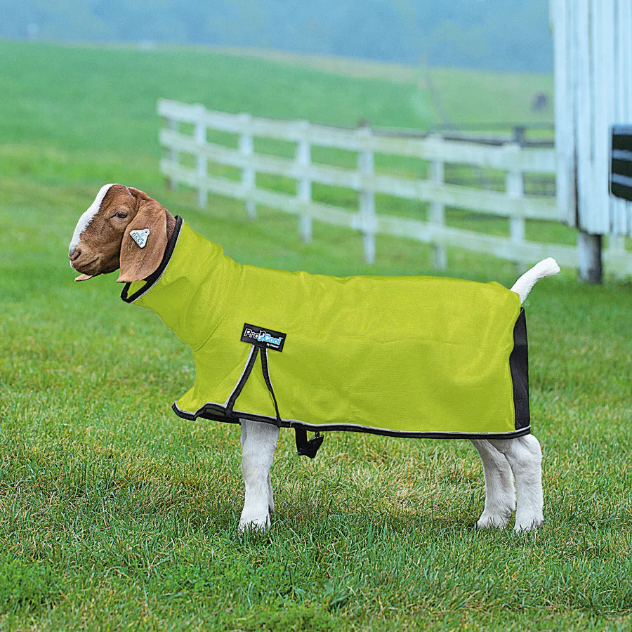 Weaver Livestock ProCool Goat Blanket with Reflective Piping, Mesh Butt