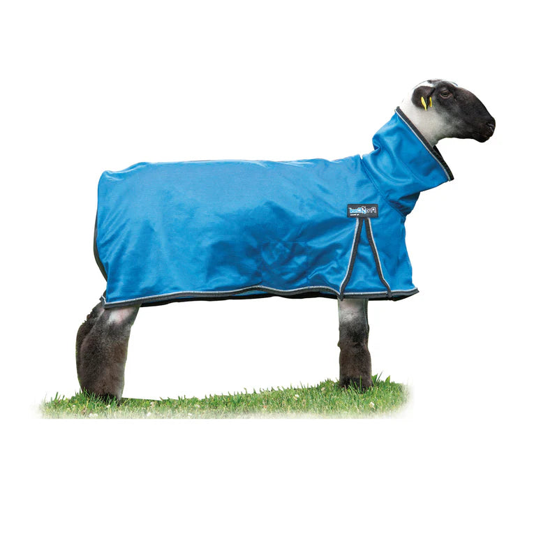 Weaver Livestock ProCool Sheep Blanket with Reflective Piping, Mesh Butt