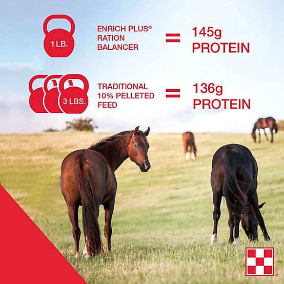 Purina Enrich Plus Ration Balancing Horse Feed, 50 lb. Bag