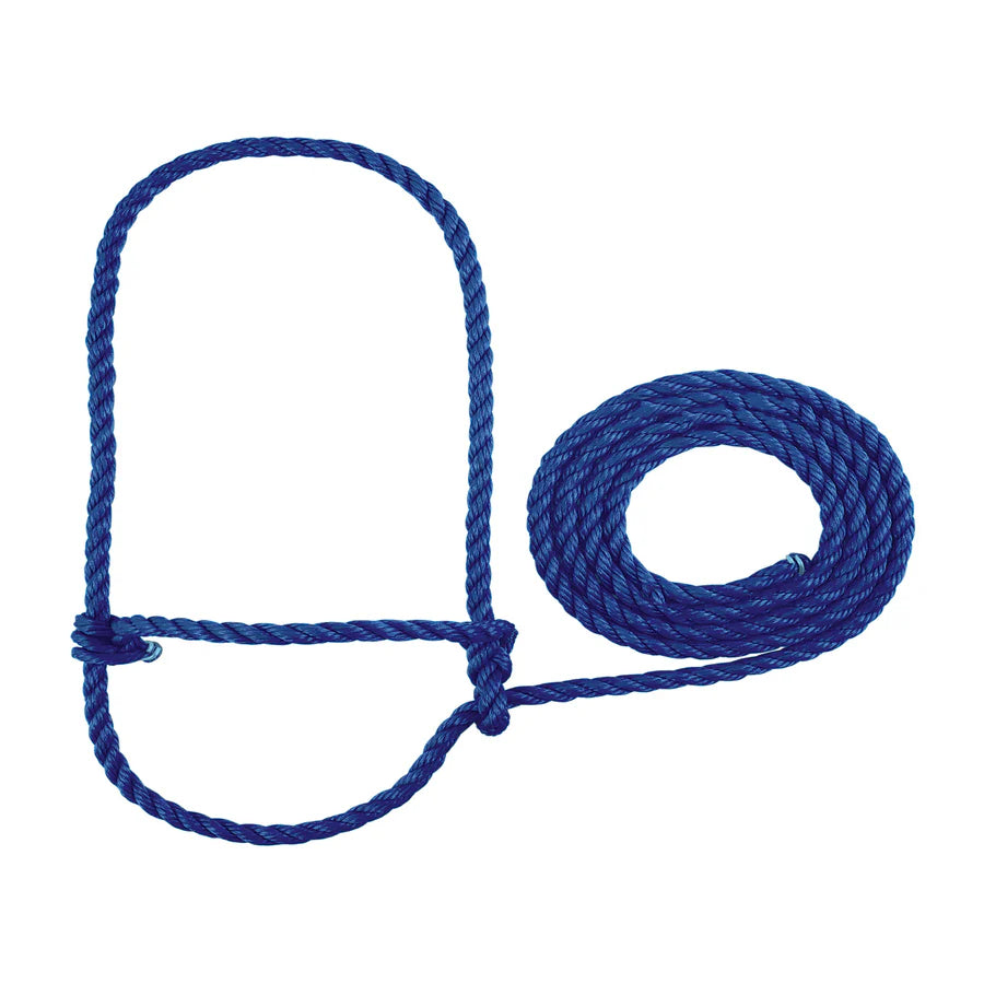 blue poly rope cattle halter and lead