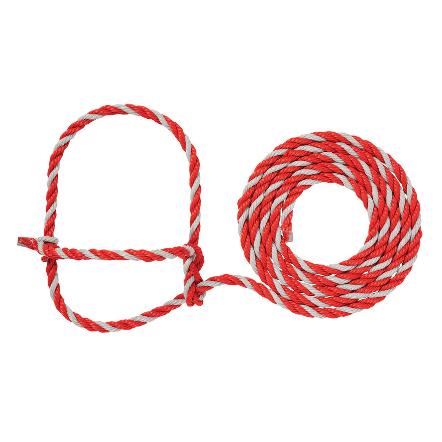 Weaver Livestock Poly Rope Cattle Halter