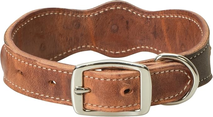 Weaver Equine Country Charm Pet Collar