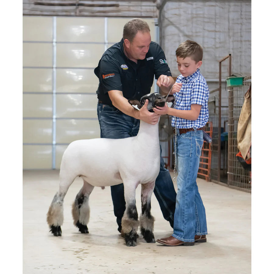 Weaver Livestock Nylon Adjustable Sheep Halter with Chain Lead